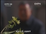 天网 《天网》 20121213 致命的约会