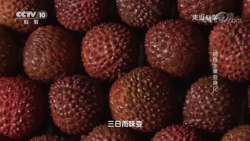 走近科学 《走近科学》 20190408 特色水果变身记