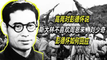红墙往事 彭德怀回忆高岗：之前我认为他是个狭隘的人，后来发现自己想错了