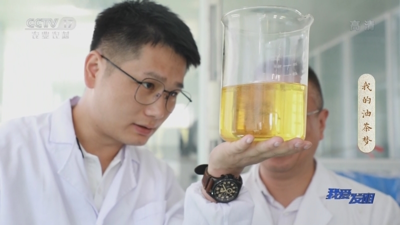我爱发明 《我爱发明》 20221020 我的油茶梦
