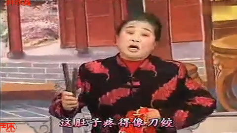 河南坠子 王婵出世 陈明山 戴玉环 第九段 大姑娘未婚先孕 井照鑫