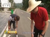 生财有道 《生财有道》 20150827 2015农家乐第三季——欢乐天堂寨 暑期更旺财