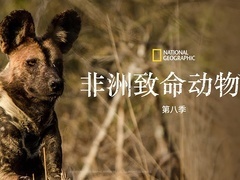 非洲致命动物 第八季（AFRICA'S DEADLIEST -08）第1集
