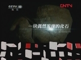 地理中国 《地理中国》 20120212 生物谜案