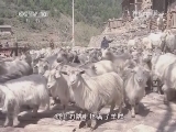 地理中国 《地理中国》 20140227 奇居之地-宁武悬空寨（中）