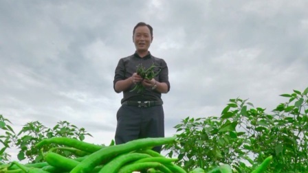 与梦想合拍 种桑成林 吐丝成宝