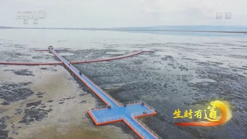 生财有道 《生财有道》 20220726 夏日经济系列——新疆巴里坤 夏季风情浓