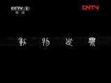动物世界 《动物世界》 20111110