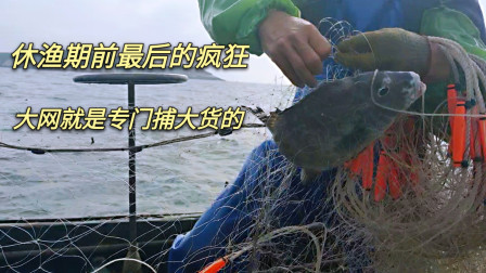 南澳岛赶海日记 休渔前的最后一个大网，大网就是捕大货的，这个网也有60斤海鲜