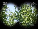 军事纪实 《军事纪实》 20180608 无人之战——无人化后装保障演练纪实