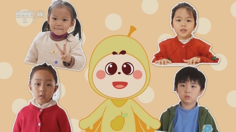 小小智慧树 《小小智慧树》 20240604