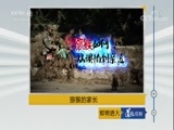 道德观察 《道德观察（日播版）》 20180210 猕猴的家长