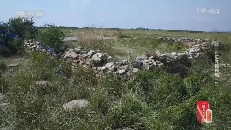 《探索·发现》 20260405 走进发掘现场（5）