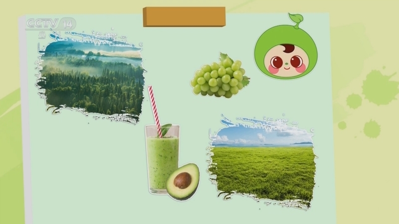 小小智慧树 《小小智慧树》 20250108