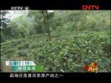 远方的家 《边疆行》第19集 勐海《远方的家》20110804