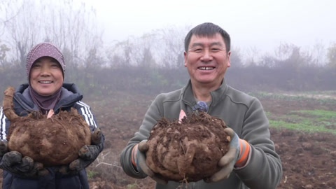 种植前线2025 仟金方 沃柑香