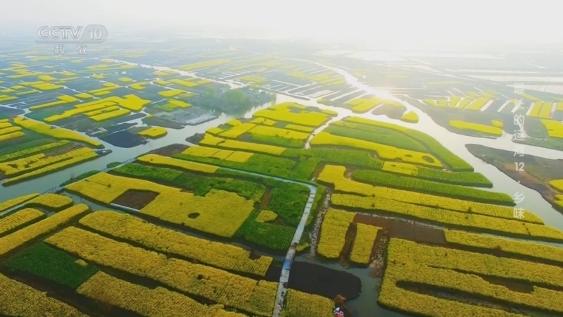 地理中国 《地理·中国》 20241227 中国之最—最长的运河12·乡味