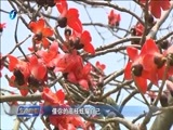 东南晚报 《东南晚报》 20170423