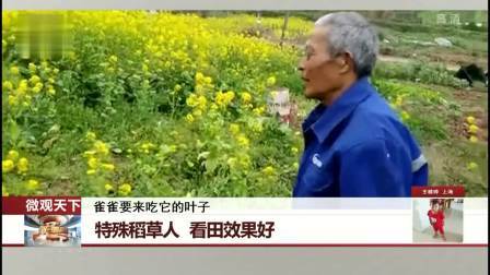 每日新闻报 农民家庭培养四个学霸，俩博士俩硕士