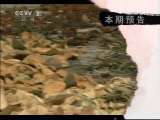 生财有道 椰壳里做出的大文章