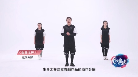 生命之杯-金洋（教学分解）