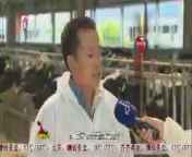 全省新闻联播 《全省新闻联播》 20140803