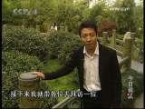 今日说法 小撒印象 3