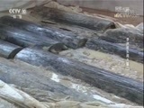 探索发现 《探索发现》 20180201 李洲坳东周大墓（二）