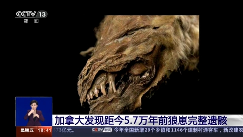 共同关注 《共同关注》 20201225