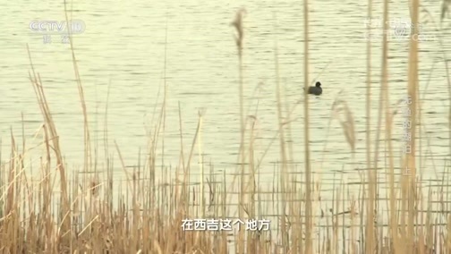 地理中国 《地理中国》 20181203 无鱼的湖泊（上）