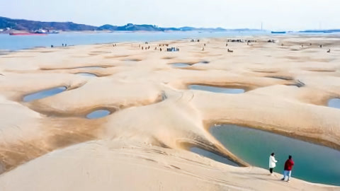 特别关注20210126