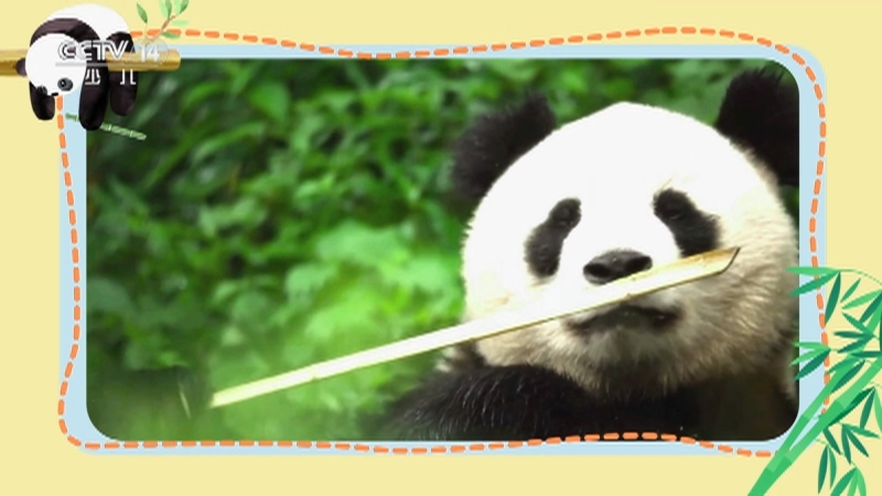 小小智慧树 《小小智慧树》 20250331