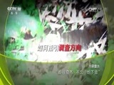 地理中国 《地理中国》 20161228 岭谷奇木·寻找“地下金”