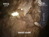 地理中国 《地理中国》 20171012 生境迷踪·武陵谜影（下）