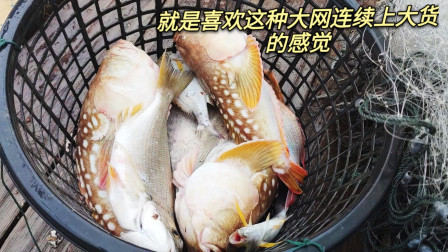 南澳岛赶海日记 突然的刮风下雨海带着浪，彪哥急忙赶紧拉网，结果却连续的来大货