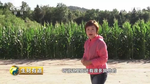 生财有道 《生财有道》 20181011 乡村田园里的生态财富