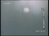 动物世界 动物世界 2010年 第161期