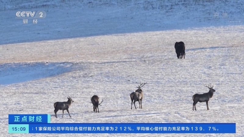 正点财经 《正点财经》 20221209 15:00