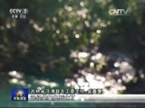 军事报道 《军事报道》 20150824