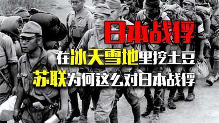 史记文学社第三季 在冰天雪地里挖土豆，冻死饿死几万人，苏联为何这么对日本战俘