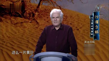 奇幻科学城 沙漠之旅，沙子是从哪里来的？