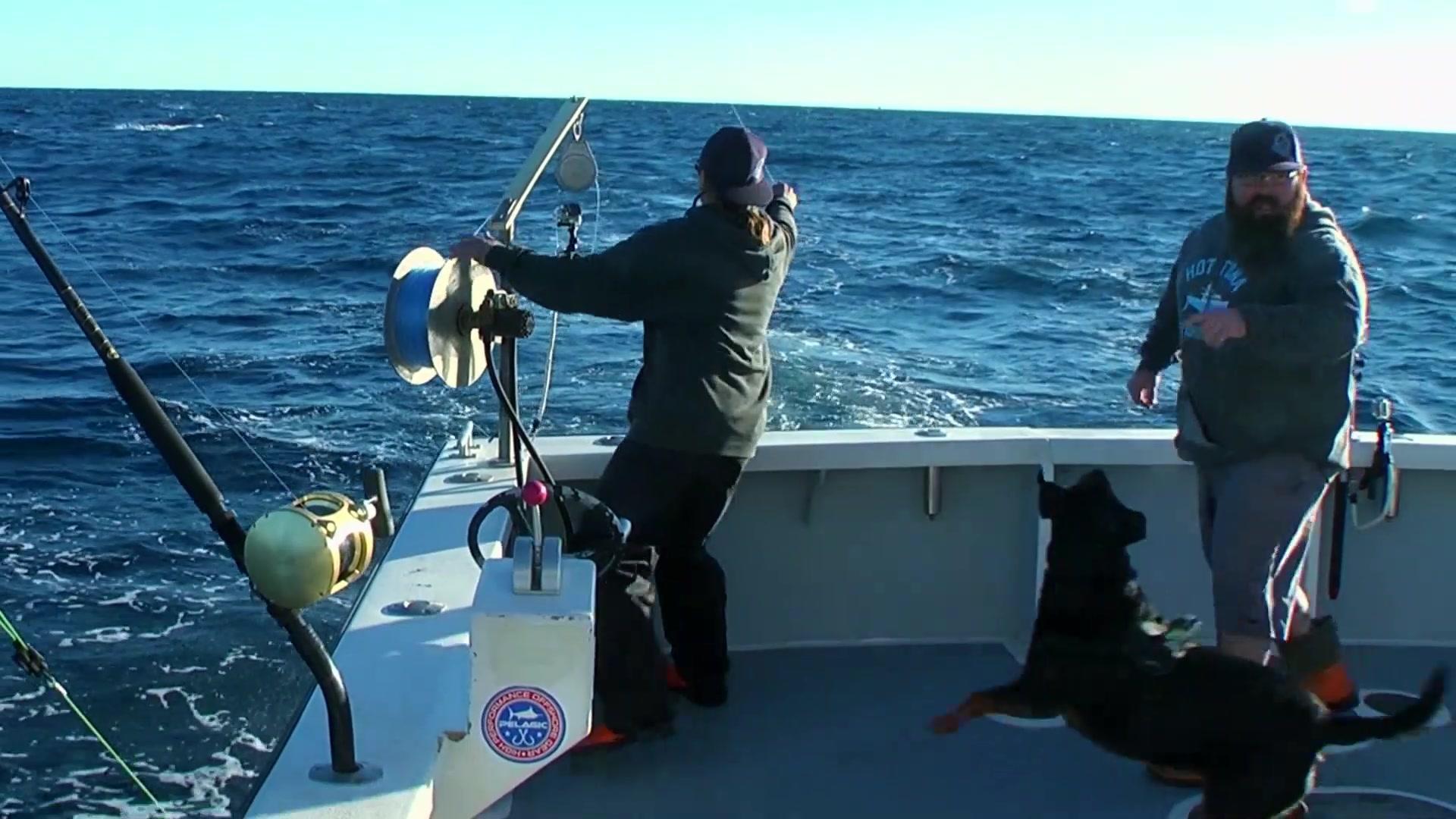 黑鲔鱼殊死战：外滩群岛第二季