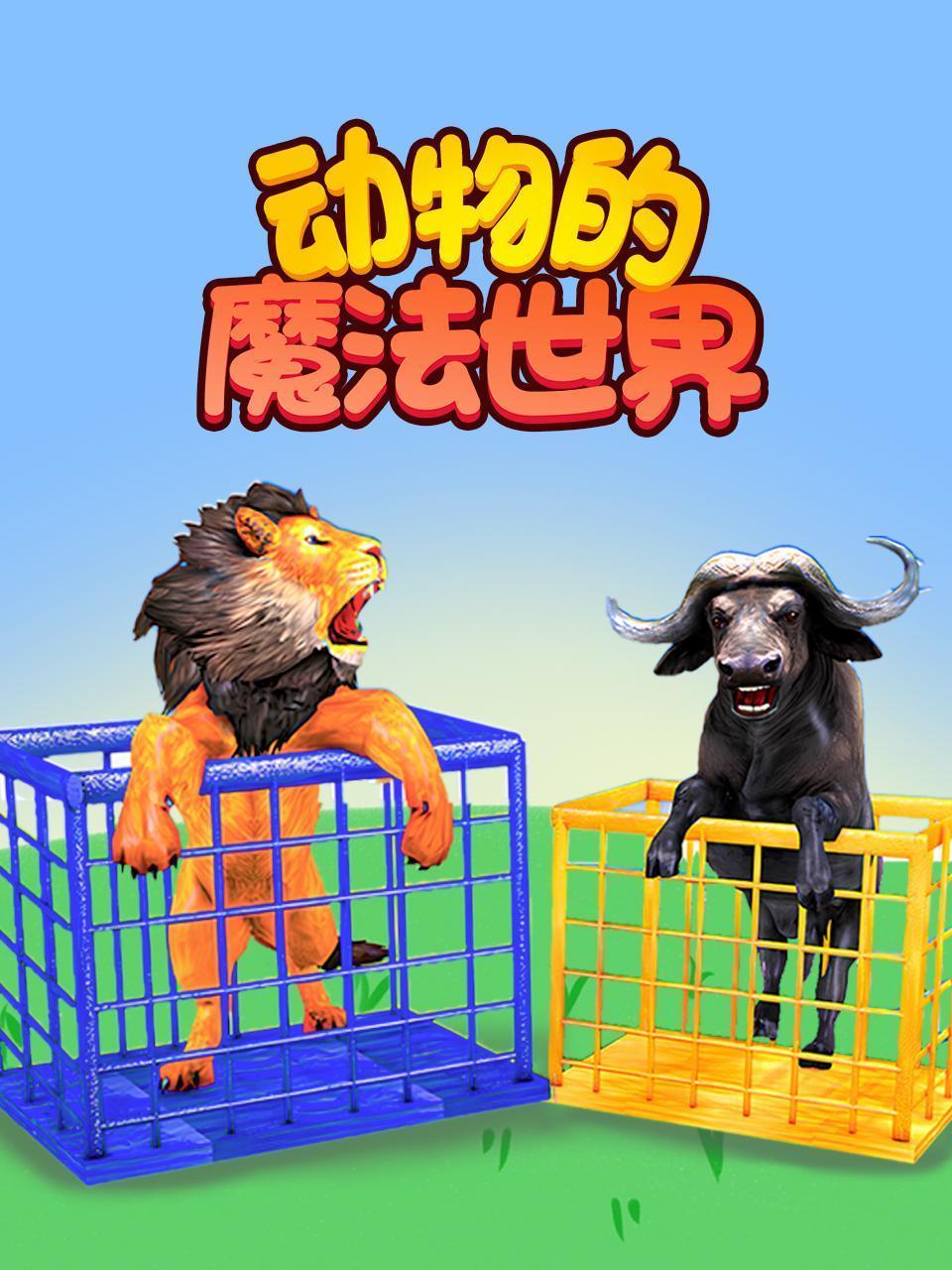 动物的魔法世界