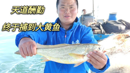 天道酬勤昨天空网，今天彪哥就捕到大黄鱼跟海红斑，而且最近价格一直疯涨