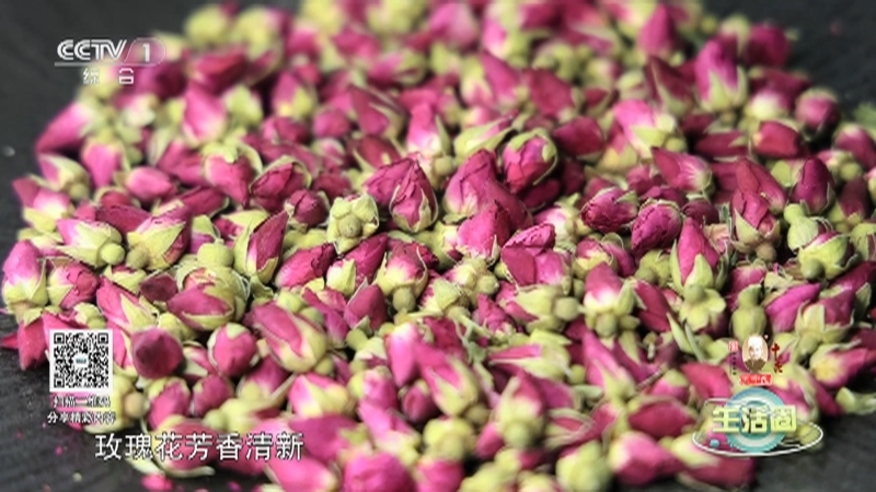生活圈 《生活圈》 20230220