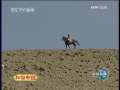 新闻联播 新闻联播 2009-06-01 19:00