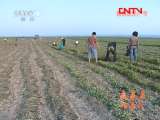 县域经济报道 《县域经济报道》 20111028