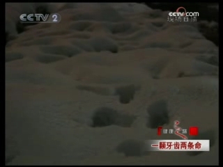 健康之路 一颗牙齿两条命