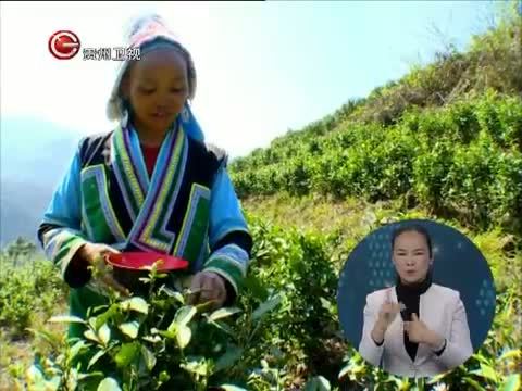 星期天报道 《星期天报道》 20150329
