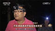 致富经 [致富经]只在凌晨四点开始绽放的财富 20160711
